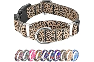 Hikiko Martingale Collar for Dogs Classic Leopard Dog Collar for Small Medium Large Dogs Durable Escape Proof Dog Collars (Leopard,Medium)