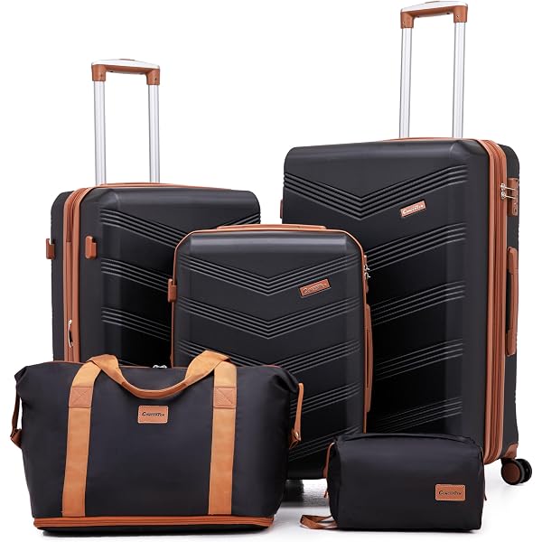 Amazon.com | Joyway 20 Inch Carry On Luggage with TSA Lock