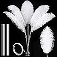 Soarer White Large Ostrich Feathers - 10Pcs Making Kit 34inch Extra Large Ostrich Feathers Long for Tall Vase,Floral Arrangement,Christmas Party Centerpieces and Wedding Home Decoration(White)