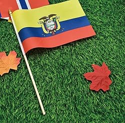 Ckexin 25Pack Small Ecuador Flag Handheld Mini