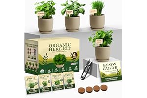 HOME GROWN Indoor Organic Herb Garden Kit – Unique Christmas Gift for Adults, Men, & Women - Grow 4 Herb Seeds for Kitchen Window Garden – Beginner DIY Hobby Gardening Gift for Plant Lovers, Mom & Dad