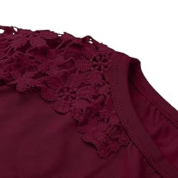 Women's Plus Size Long Sleeve Shirts Lace Hollow
