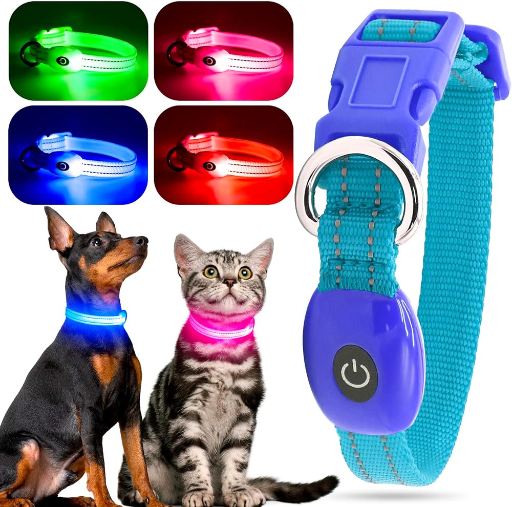 YFbrite Light Up Dog Collar Rechargeable LED Adjustable Blue XS