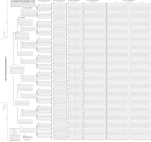 Amazon Com Treeseek 15 Generation Pedigree Chart Blank Genealogy Forms For Family History And Ancestry Work Toys Games