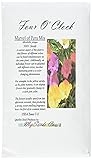 Big Pack - 4 O'Clock Mix (500+ Seeds) Fragrant