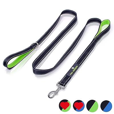 Bungee Dog Leash by OutdoorMaster