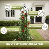 Garden Mile 2x Large 2m Metal Garden Obelisk Plant Cage Climbing Support view 5