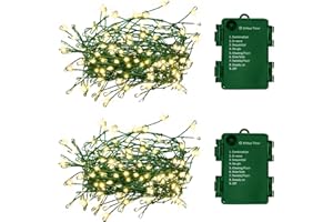 FAIRYGLIM 2Pack Outdoor Fairy Lights Battery Operated,10Feet 100LED Green Copper Wire Cluster Lights with 8 Modes and Timer,Twinkle String Lights, Mini Lights for Christmas Tree Wreath Wedding,Warm White
