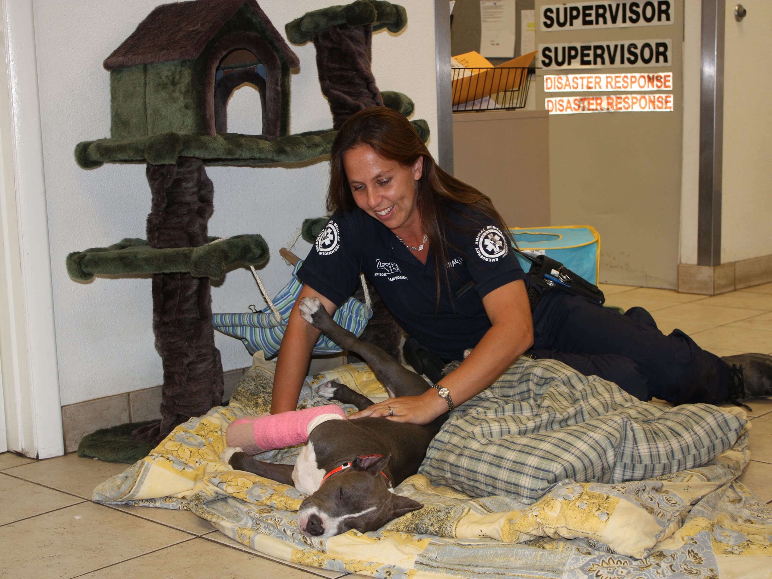 Watch Animal Cops Phoenix Season 2 Prime Video