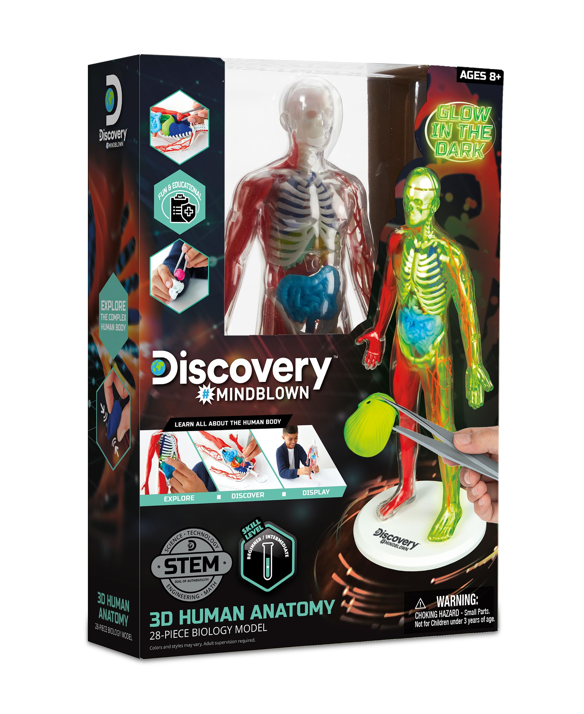 DISCOVERY #MINDBLOWN - Human Anatomy Kit Glow In The Dark - Teaching Resources, Human Body Model & Anatomy For Kids - Human Body Science Kit - Children Science Set - 28 pcs