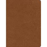 CSB He Reads Truth Bible, Saddle LeatherTouch, Indexed, Black Letter, Wide Margins, Journaling Space, Study Tools, Reading Plans, Maps, Charts, Easy-to-Read Bible Serif Type
