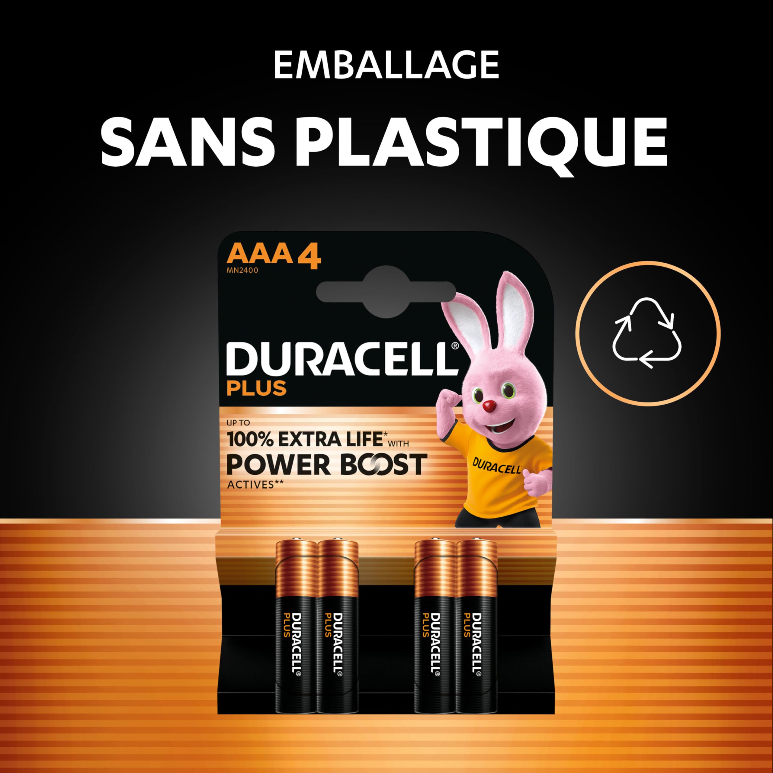 AAA Plus Piles Alcalines (Lot de 12) 1.5V, LR03