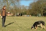 Company of Animals Recall Line 10m Dog Training Equipment Recall Line 10m view 4