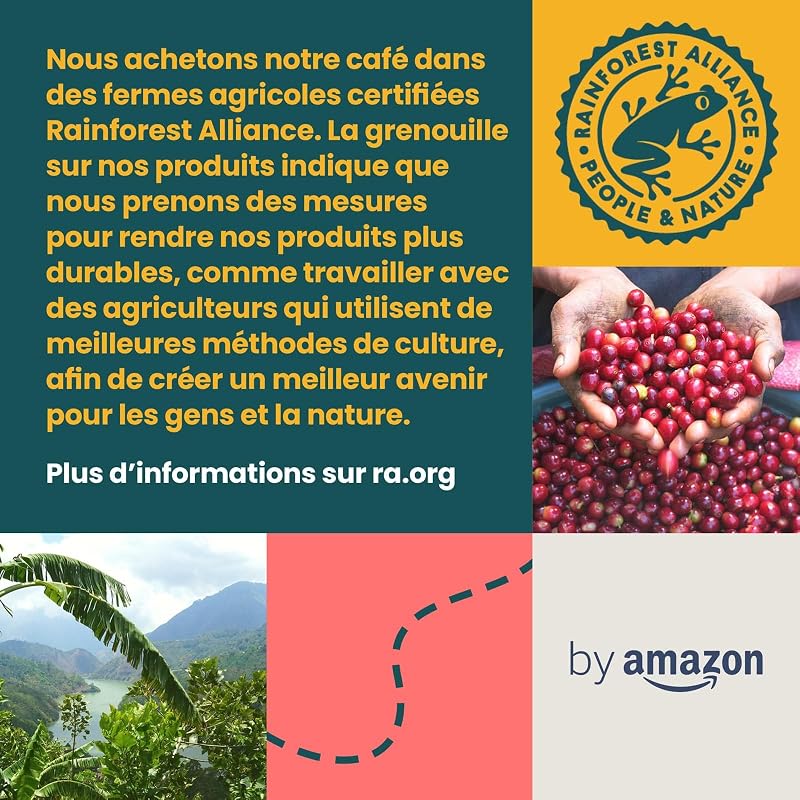 Assortiment Standard de capsules de café compatibles Nespresso, Torréfaction Moyenne, 80 pièces, 4 lot de 20 - Certifié Rainforest Alliance