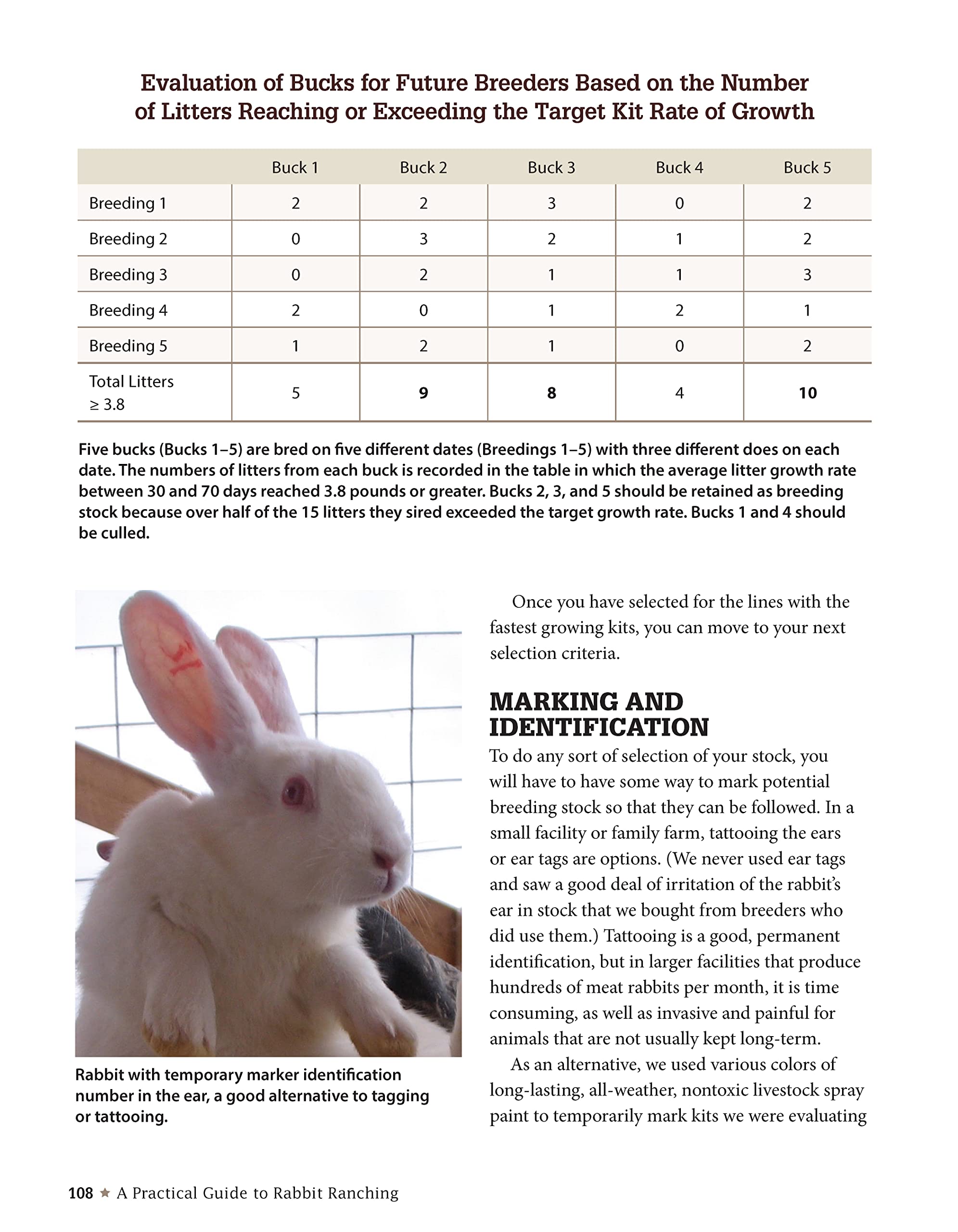 A Practical Guide to Rabbit Ranching: Raising Rabbits for Meat and Profit (CompanionHouse Books) Farming Meat Rabbits, Care, Housing, Feeding, Breeding, Growing, Disease Management, Costs, and More