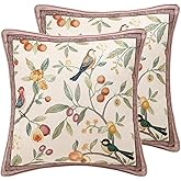 bilin gaier Square Pink Farmhouse Throw Pillow Covers Pack of 2,Birds and Flowers Pattern Cozy Velvet Pillowcases,Decoration Pillows Cushion Covers for Couch Sofa Bed Car Chair,18"x18"