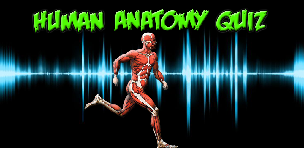 Human Anatomy Quiz Pro Test Your Knowledge