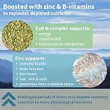 Igennus High Strength Ashwagandha, L-Theanine & Zinc Magnesium 60 Capsules view 5