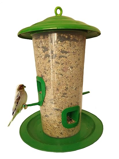 bird food stand