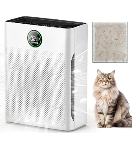 1222専用 Amazon.com: Hilti HEPA Replacement Main Filter - 203879 : Home
