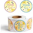 FeelWarm 500Pcs Bumble Bee Gender Reveal Stickers Little Honey Bee Party Supplies Favors Perforated Roll Team Boy or Team Girl Stickers for Baby Shower Gender Reveal Party Voting Game Ideas, 2 inch