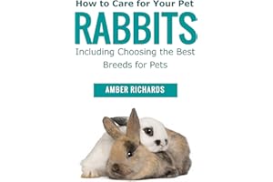 How to Care for Your Pet Rabbits: Including Choosing the Best Breeds for Pets