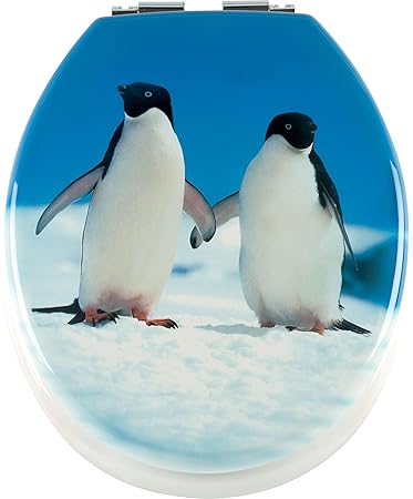 WC TOILETTENSITZ Modell " DREAMTEAM" mit Motiv von Sanwood