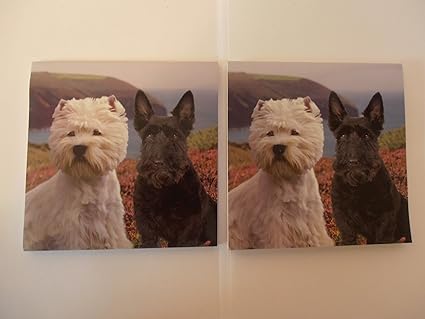 magnetic scottie dogs