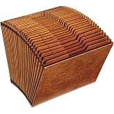 Pendaflex R217DHD Heavy-Duty Expanding Open Top File, 31 Pockets, 1/3 Tab, Letter, Brown