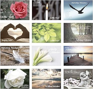 Download Sprueche amb roses Free Sprueche Amb Roses