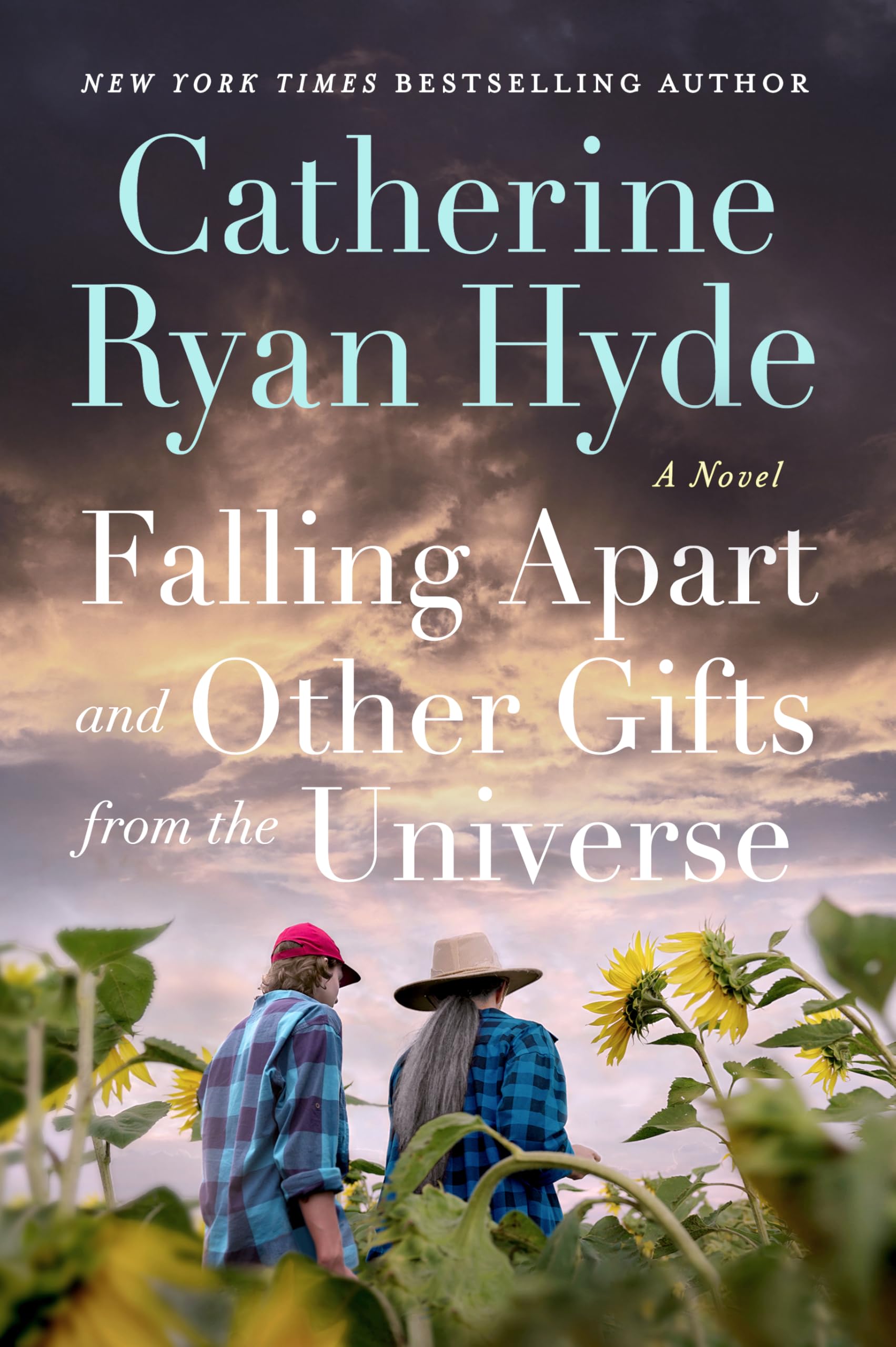 Falling Apart and Other Gifts from the Universe: A Novel Image