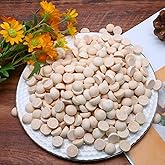 Cionyce 350 Pack Unfinished Wooden Beads - 15mm Half Round Wooden Beads and Small Wood Balls Half Craft Balls for DIY Projects, Christmas Decorations