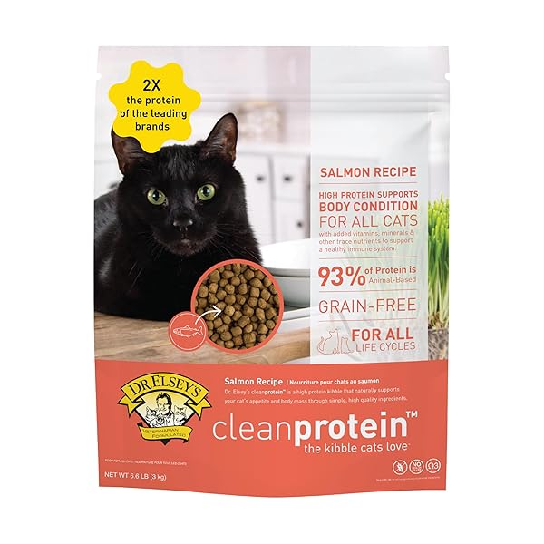 DR. ELSEY’S CLEANPROTEIN SALMON FORMULA DRY CAT FOOD,...