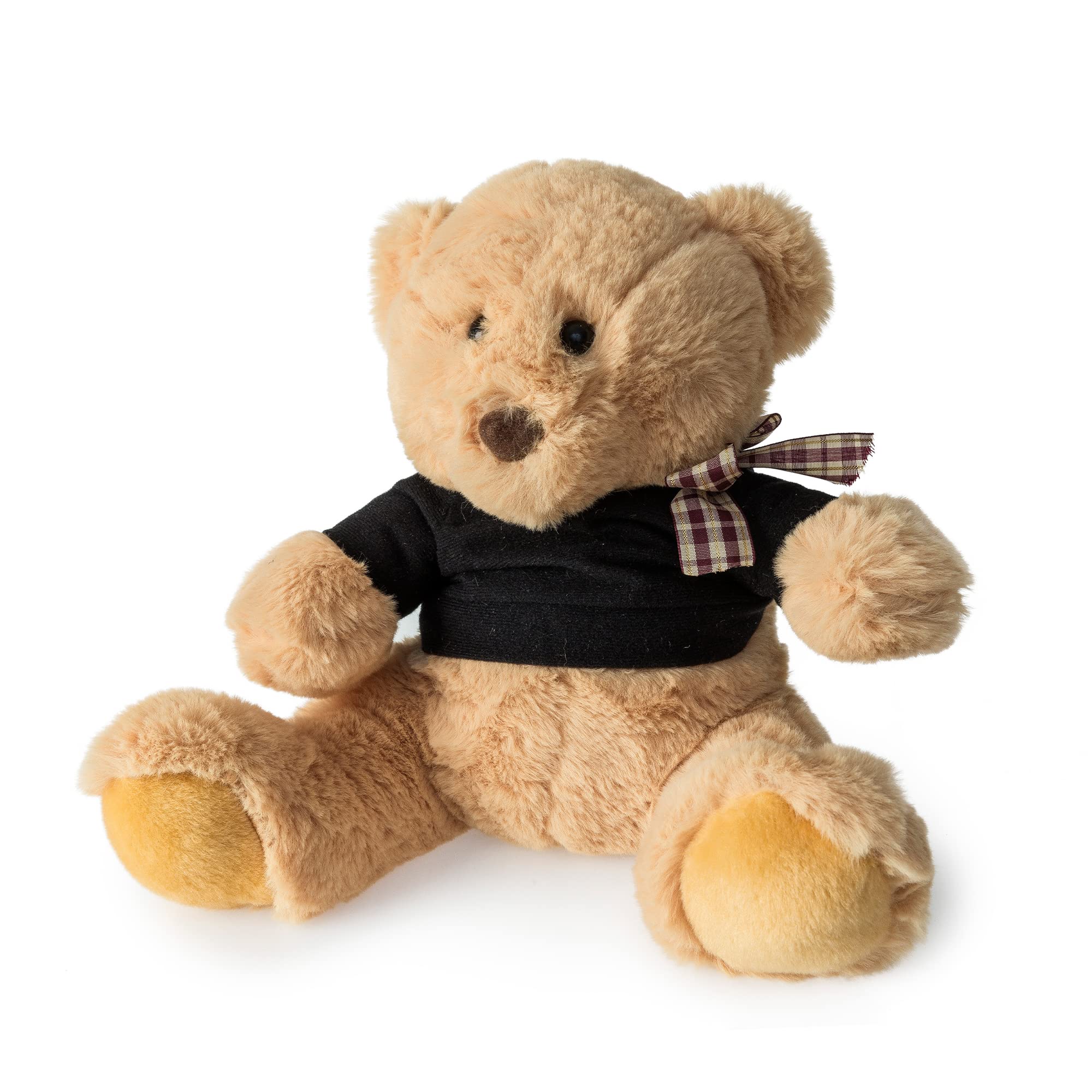Blue Canyon Teddy Weighted Bear Door Stop – Decorative Sand Filled Animal Doorstop for Floor, Cute Indoor Door Stopper, Gift for Animal Lovers