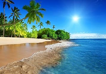 Download Tropical paradise tropical happy birthday beaches images Desktop Wallpaper
