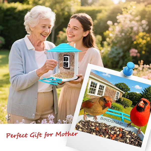 BIRDSNAP® TUC BIRD FEEDER WITH CAMERA 2K HD, SOLAR PANEL 32GB CARD 4-IN-1 PERCH, 160°VIEW AUTO DETECT & NOTIFY AI IDENTIFY VIDEO BIRD CAMERA WIRELESS OUTDOORS IDEAL GIFT FOR BIRDS LOVER