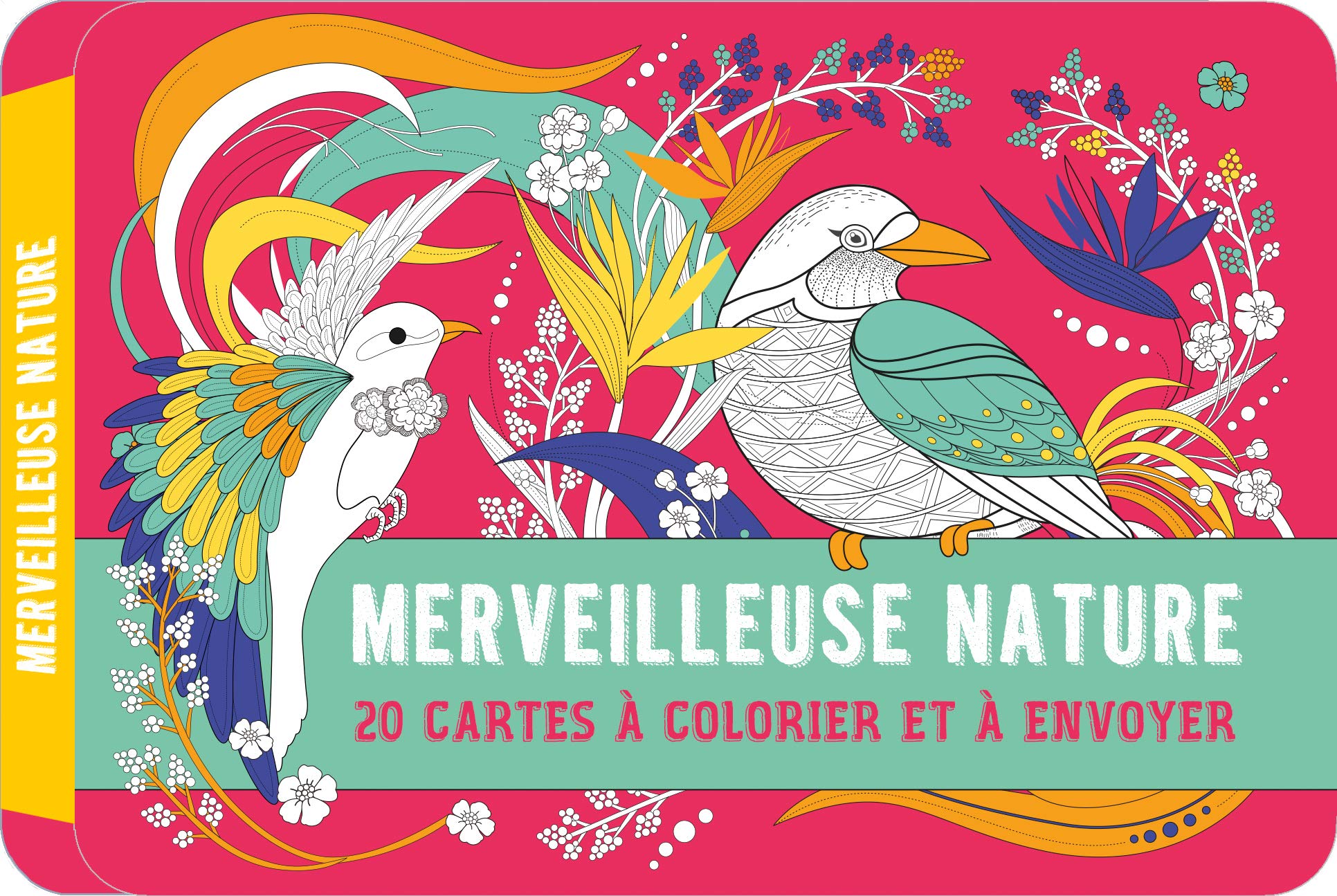 Merveilleuse Nature Mes Cartes A Colorier Et A Envoyer Editions 365 Amazon Fr Livres
