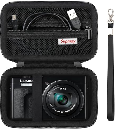 Amazon.com : Panasonic DMW-CXH1 Hard Camera Case for Panasonic