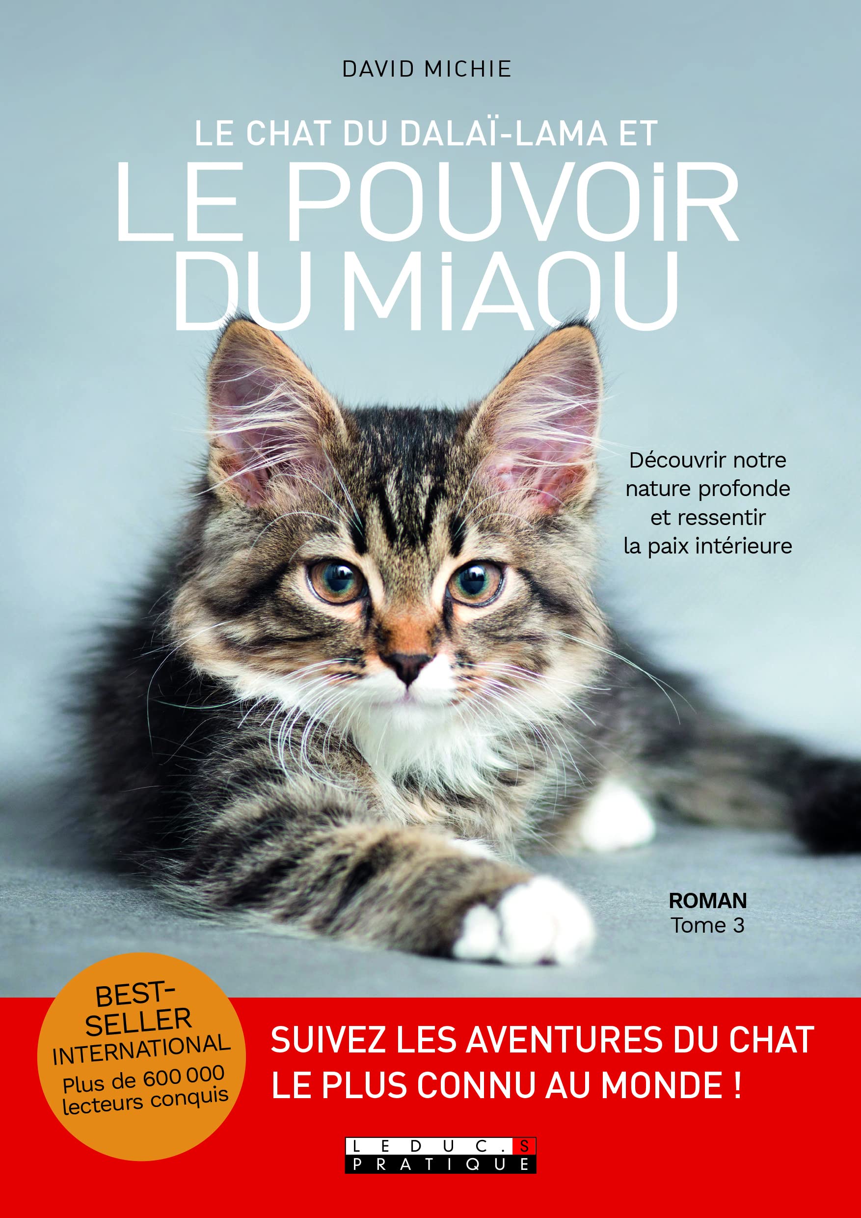 Le Pouvoir Du Miaou Le Chat Du Dalai Lama Tome 3 Decouvrir Notre Nature Profonde Et Ressentir La Paix Interieure Developpement Personnel La Paix Interieure French Edition Michie David Amazon Com Books