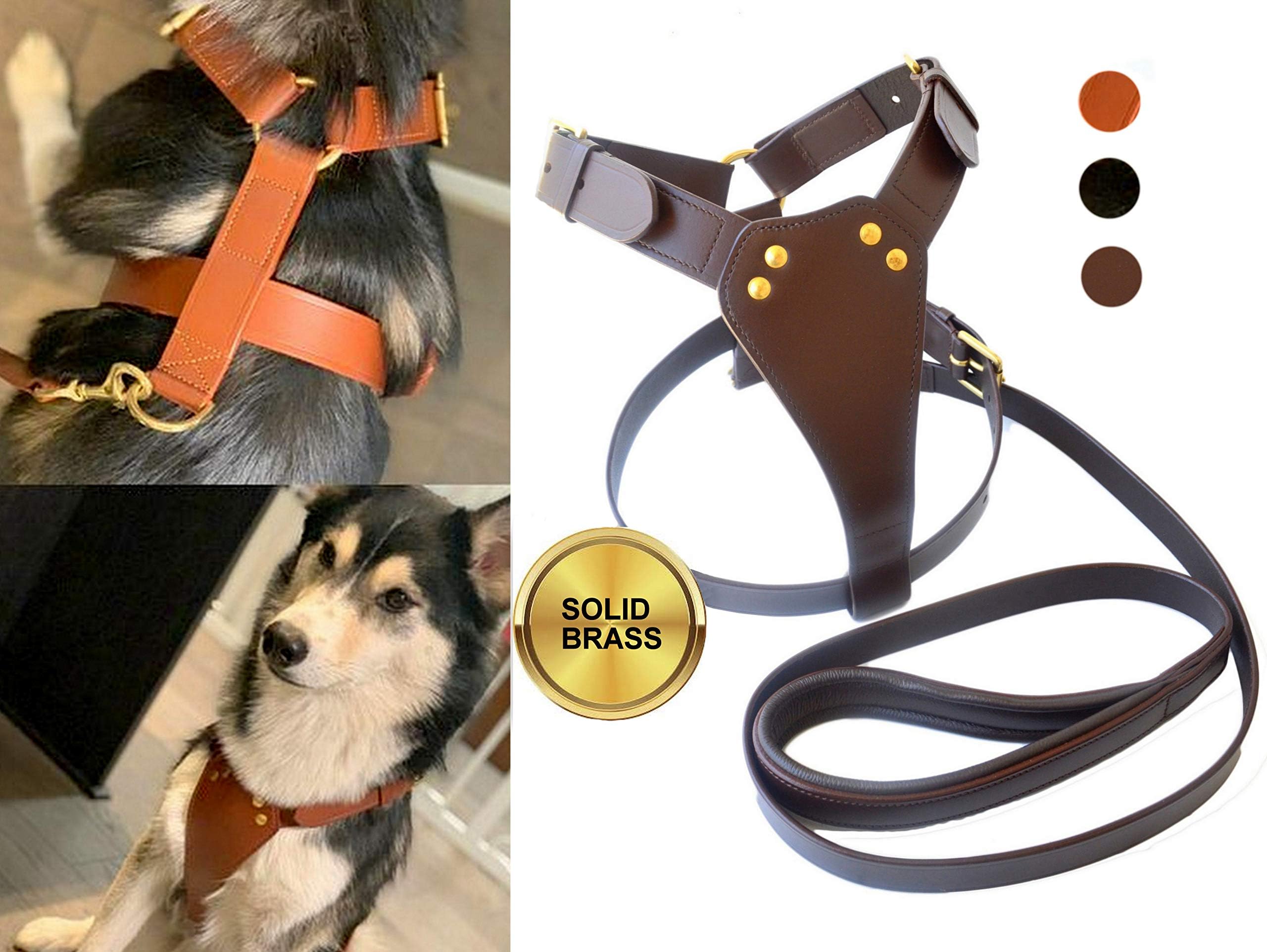 TUGBY XS/S/M/L/XL/XXL Dog Leather Harness Sets with Matching Dog Lead