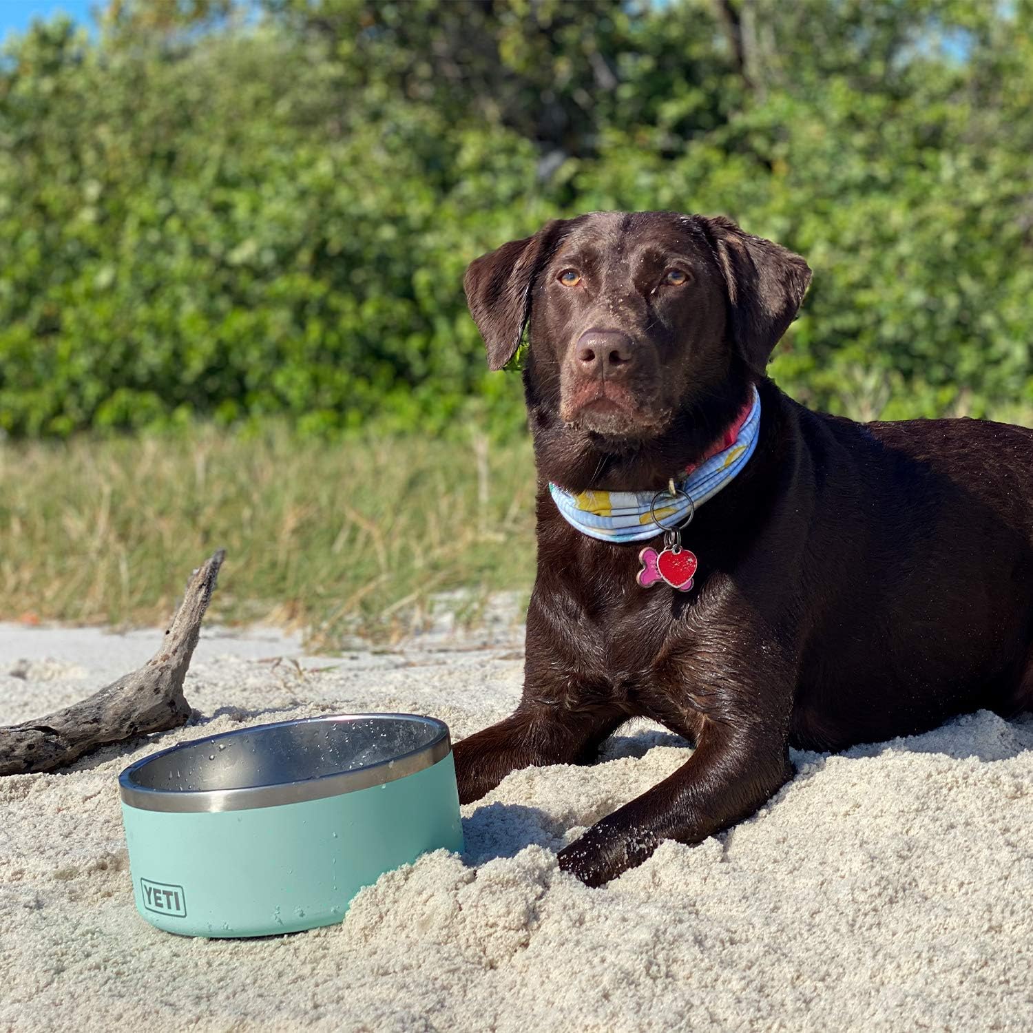 Kitchen & Dining : YETI Boomer 8, Stainless Steel, Non-Slip Dog Bowl, Holds 64 Ounces, Seafoam : 