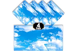 Aheroi 4 Pcs Light Covers, 4 x 2 Feet Magnetic Light Covers for Fluorescent Light Shade Drop Ceiling Light Filters Classroom Decorative Light Covers for Room School Office(Cloud Blue Sky)