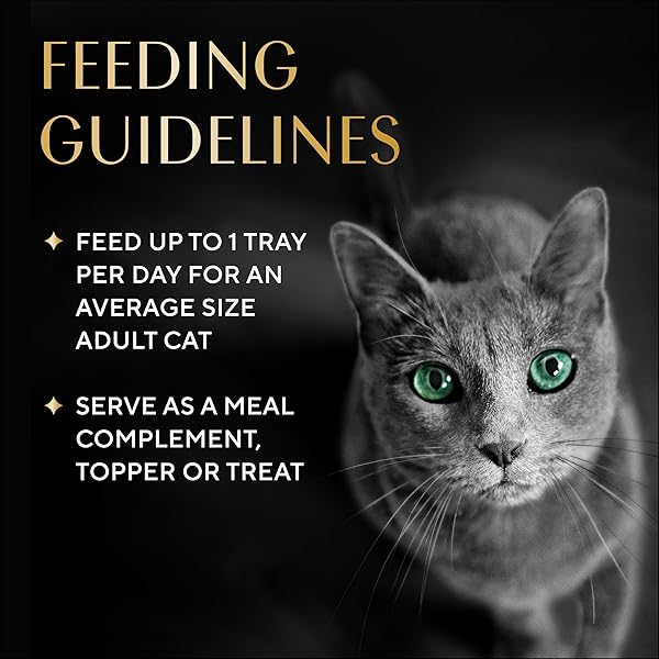 SHEBA BISQUE LICKABLE CAT TREATS & CAT FOOD TOPPERS, CHICKEN, TUNA AND SALMON RECIPES, 1.4 OZ. BOWLS, 24 COUNT