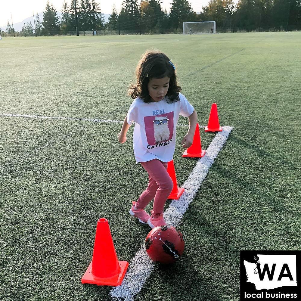 Heavy & Tough Cones - Won't Fly Away in Wind or Crack/Break - LVL10 Pro Training Cones - 12" Size - 4 Cones : Sports & Outdoors