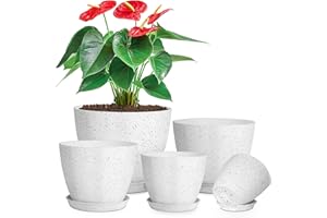 lokeisna 5 Pcs Plant pots, 7.5/6.5/5.7/4.9/4.1 inch Pots for Plants, Flower Pot Indoor Modern Decorative Plant Pot, Plant Pots Indoor with Drainage and Saucer for All House Plants, Spray Spots