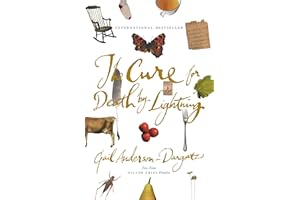 The Cure For Death By Lightning