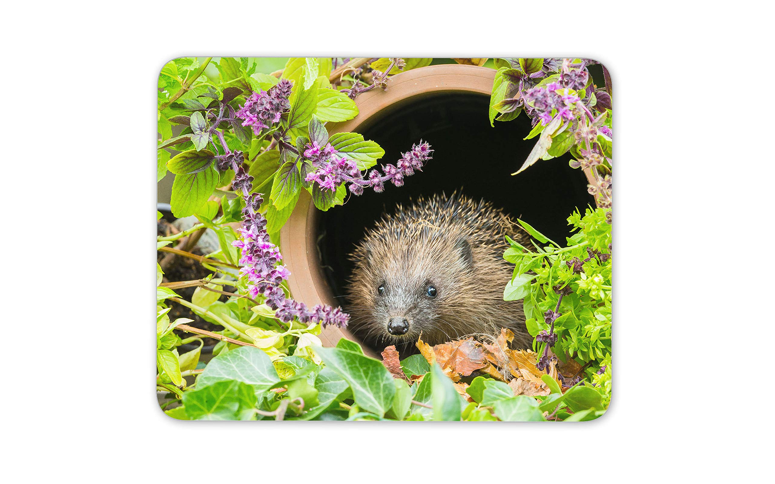 Cute Hedgehog Hiding In A Plant Pot Mouse Mat Pad - Animal Computer #14340