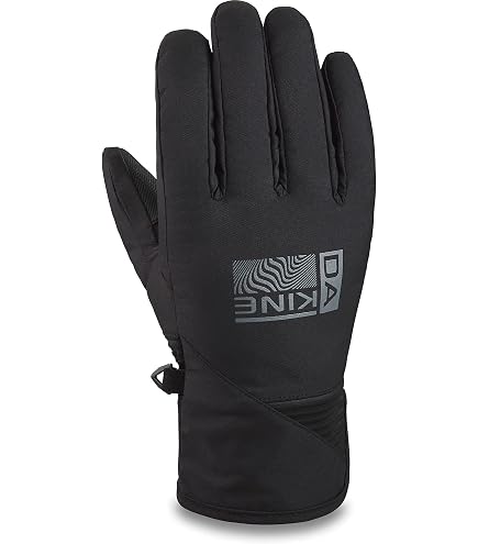 Amazon.com: Dakine Impreza Gore-TEX Short Gloves - Mulled Basil