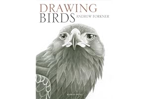 Drawing Birds