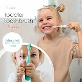 Cherish Baby Care 0-2 Years Toothbrush Kit 3-Pack Pink BPA-Free view 5